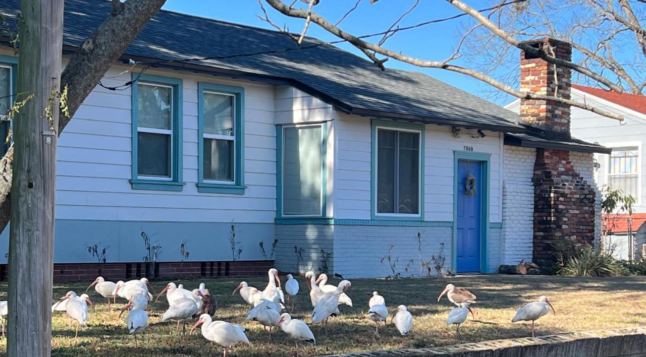 Pool Sleeps 6 With Large Fenced Yard *